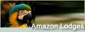 Amazon Jungle Lodges