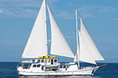 galapagos cruise