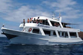 galapagos cruise