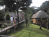 amazon jungle lodge